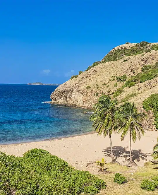 the beaches of terre de haut